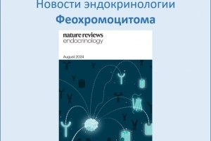 Вниманию специалистов: возобновляются публикации о достижениях мировой эндокринологии Вниманию специалистов: возобновляются публикации о достижениях мировой эндокринологии