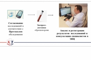 Новое в генетических исследованиях Новое в генетических исследованиях